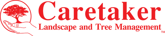 Caretaker Landscape